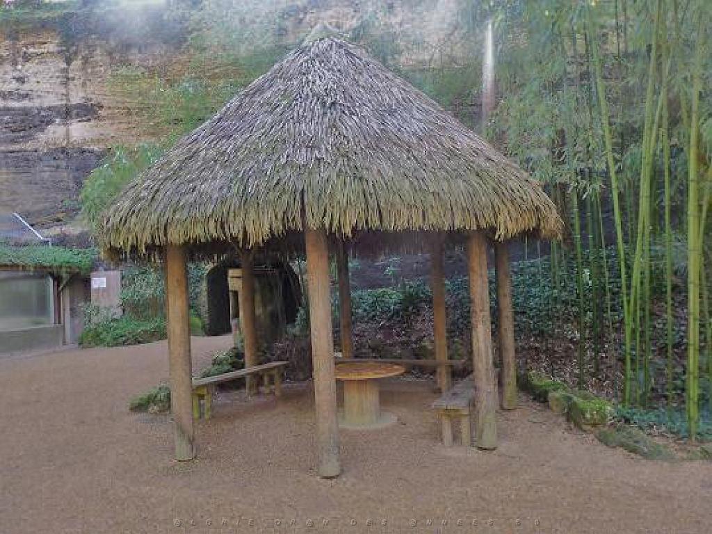 149 BIO PARC DE DOUE LA FONTAINE 3- 2016_000026.jpg